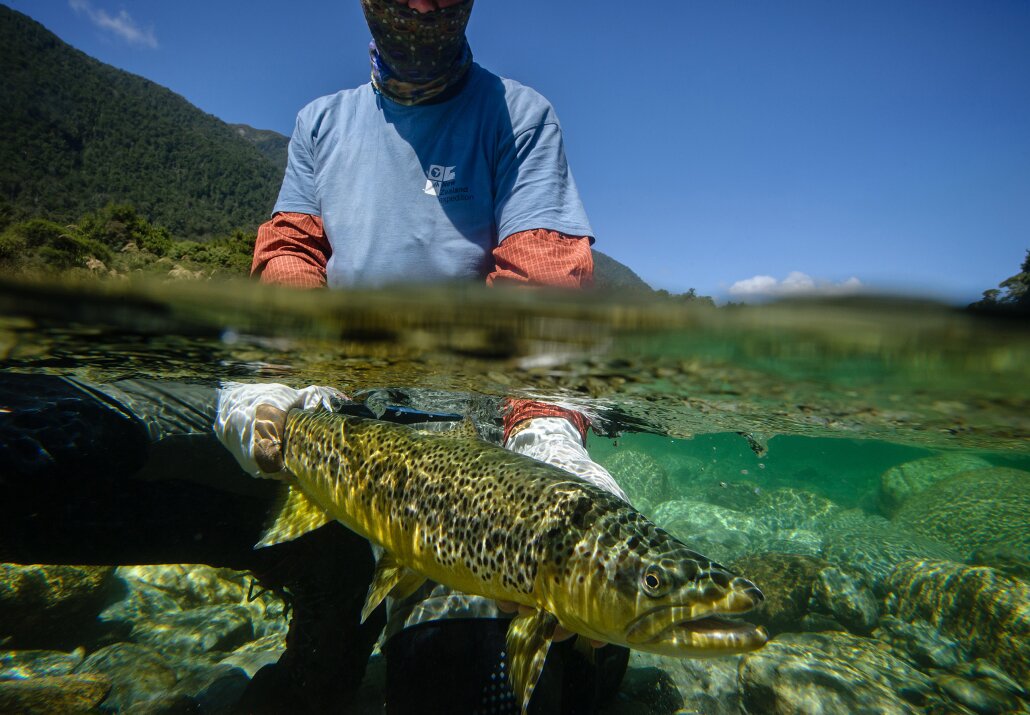 New Zealand - A Fly Fishing dream come true
